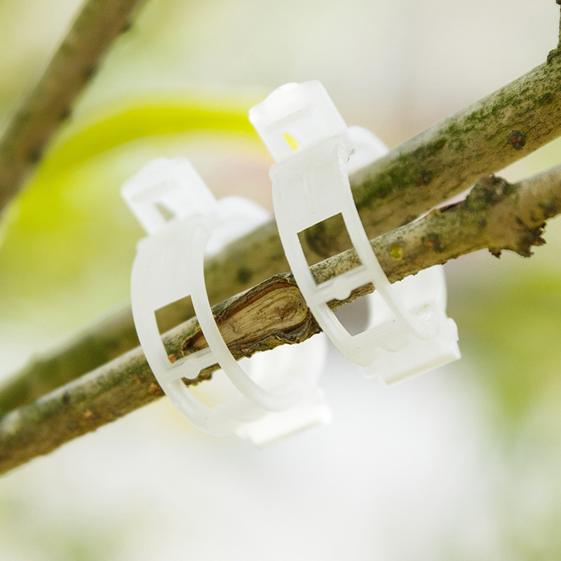 Plant Fixing Clip Growth Clip Lifter Grafting Clip Tomato Rattan Clip Lifter Cucumber Binding Vine Clip