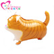 Walking-Kitten (10/Pack)
