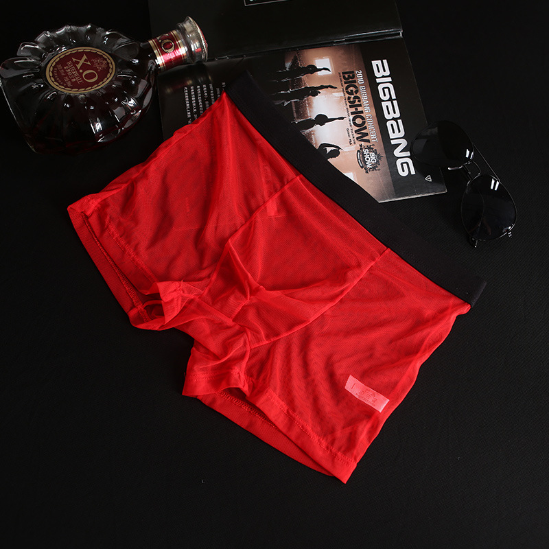One-piece delivery lace mesh transparent plus size breathable seamless Ice Silk men's underwear summer pants men's 903