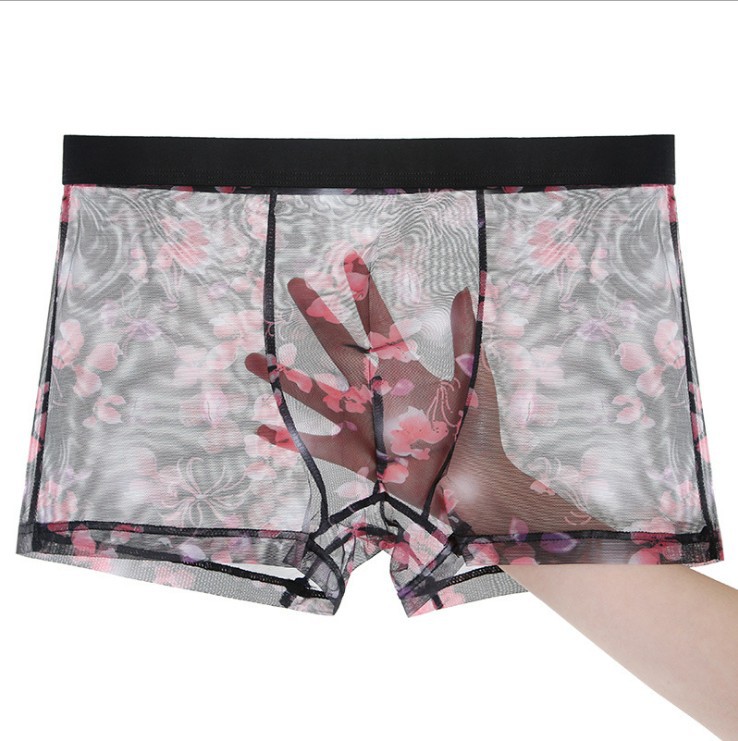 One-piece delivery lace mesh transparent plus size breathable seamless Ice Silk men's underwear summer pants men's 903