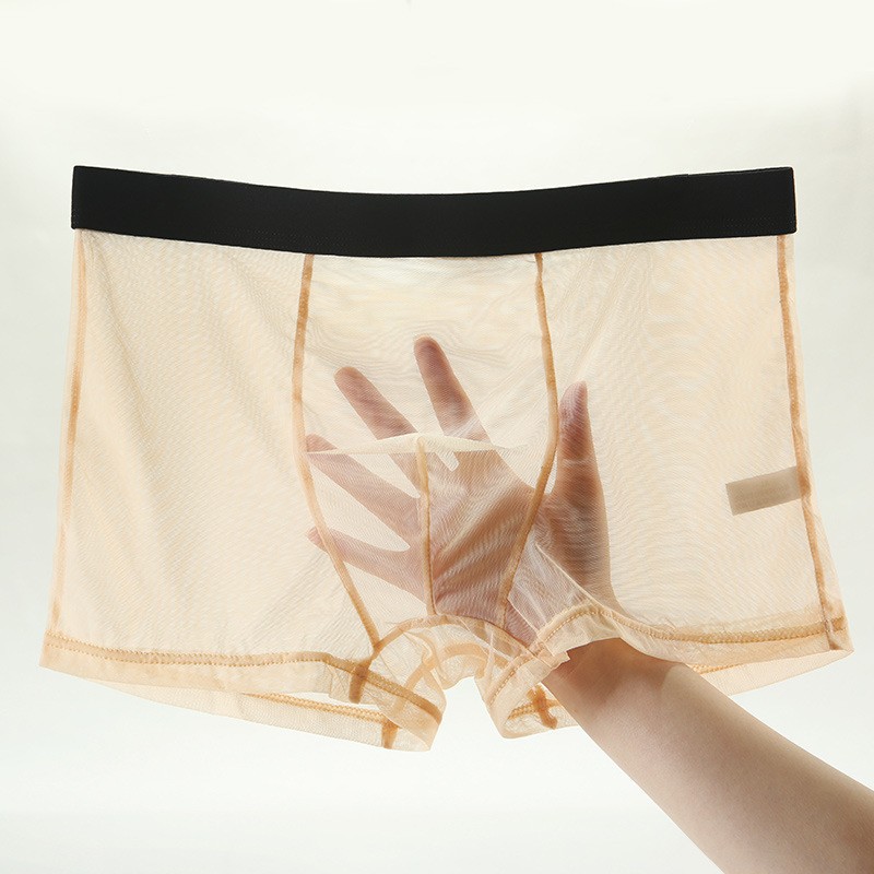 One-piece delivery lace mesh transparent plus size breathable seamless Ice Silk men's underwear summer pants men's 903