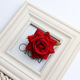 Small B bright red