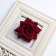 Medium B wine red