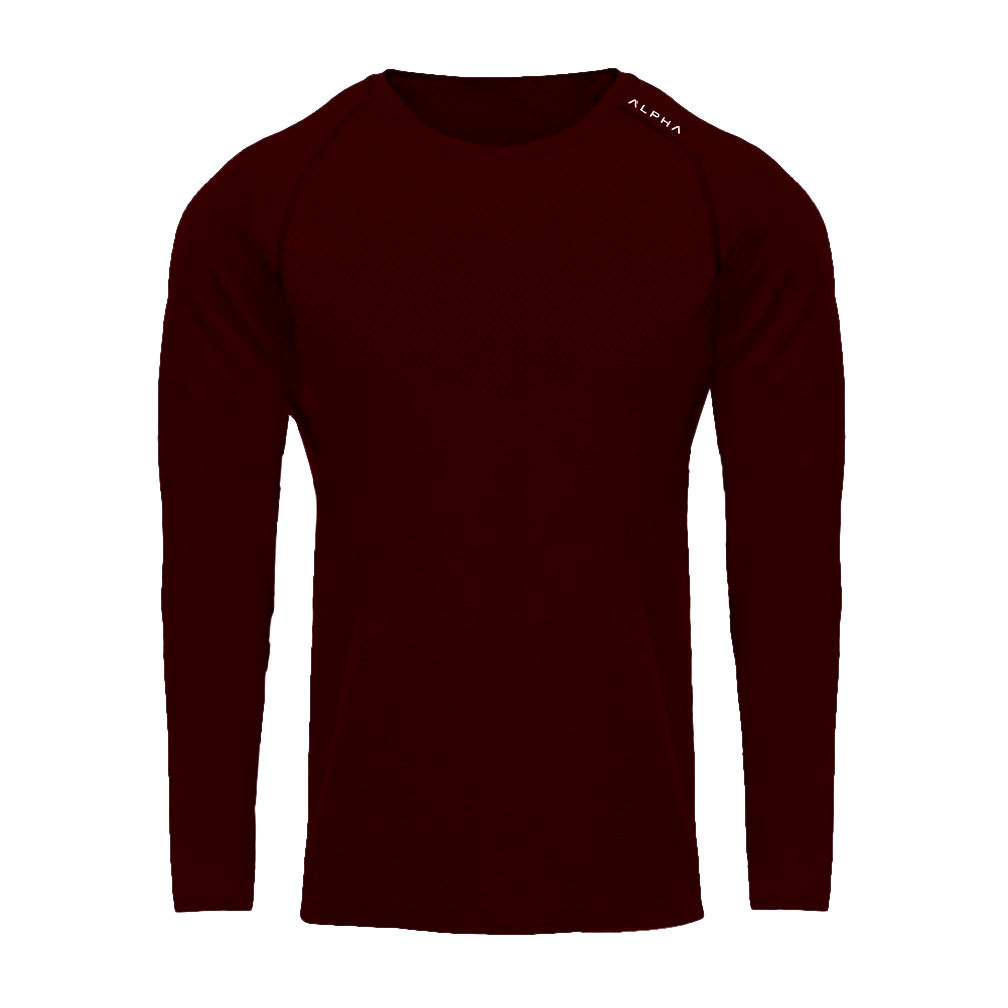 [Foreign trade cross-border exclusive] fitness men's spring and autumn sports leisure quick-drying stretch long-sleeved T-shirt running