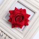 Medium B Brilliant Red