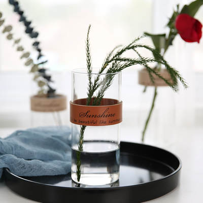 Creative Leather Glass Vase Nordic Simple Transparent Flower Dried Flower Hydroponic Plant Vase Ornaments