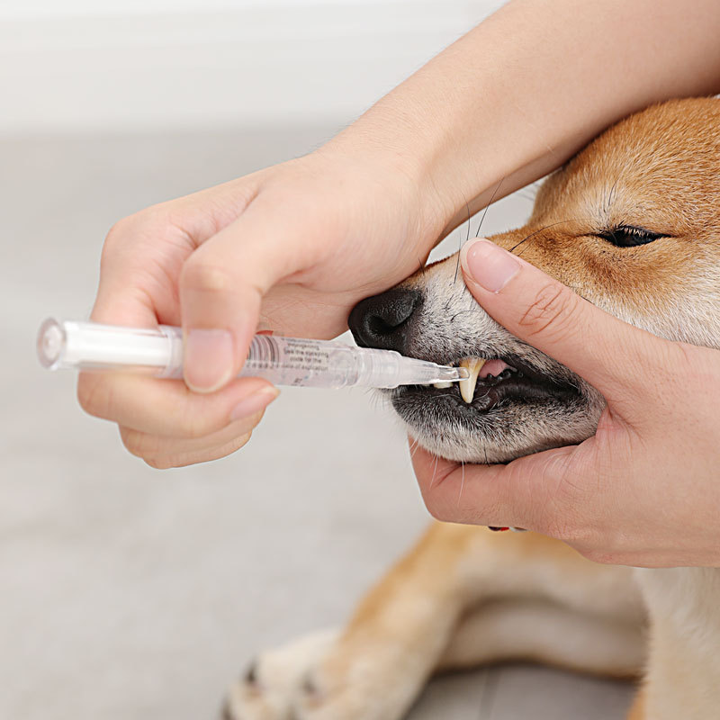 Cross-border Dog Cat Tooth Stone Cleaning Set Pet Tooth Cleaning Pen Dog Cat Pet Tooth Beauty Pen Tooth Cleaning Tool