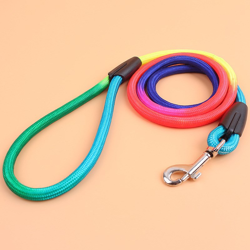 Amazon Explosions Pet Supplies Teddy Small and Medium Dog Colorful Nylon Round Traction Rope 1.2m Dog Walking Artifact