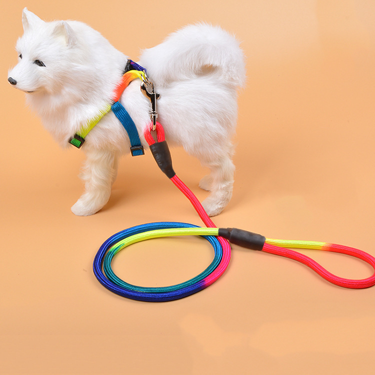 Amazon Explosions Pet Supplies Teddy Small and Medium Dog Colorful Nylon Round Traction Rope 1.2m Dog Walking Artifact