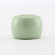 Unprinted green toothbrush holder