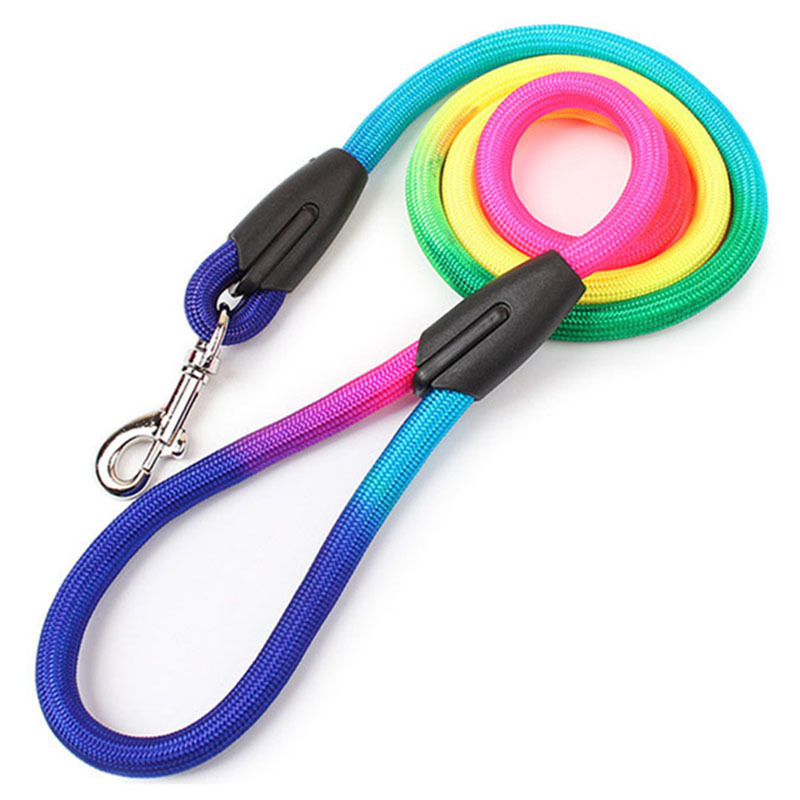 Amazon Explosions Pet Supplies Teddy Small and Medium Dog Colorful Nylon Round Traction Rope 1.2m Dog Walking Artifact