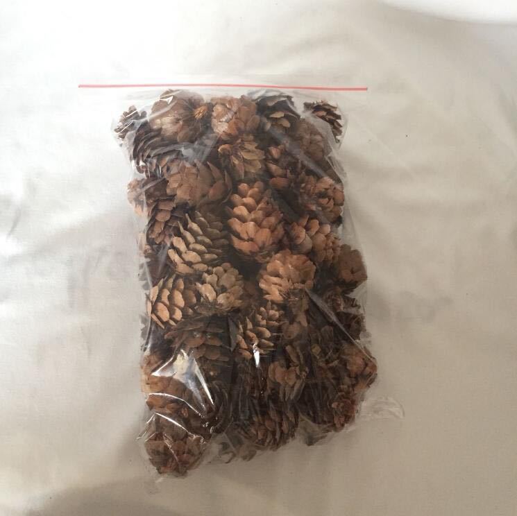 On the catty pine cone Christmas decoration pendant creative ornaments cotton diy shooting props dried flower pine cone