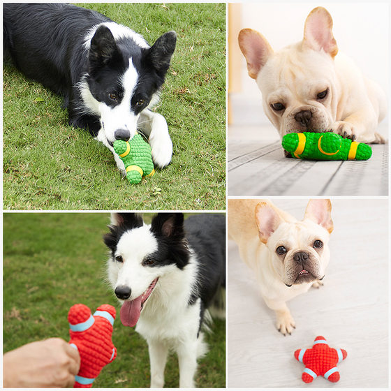 Yite pet supplies latex starfish lifebuoy vocal series puppy Teddy medium and large dog toys wholesale