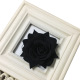 Medium B Black
