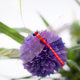 Cross-border 12CM Simulation Dragonfly Magnetic Refrigerator Sticker Pin Curtain Decoration Creative Home Simulation Dragonfly Insert Rod
