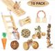 Amazon hot sale popular pet toy hamster rabbit Dutch pig parrot play molar supplies combination suit