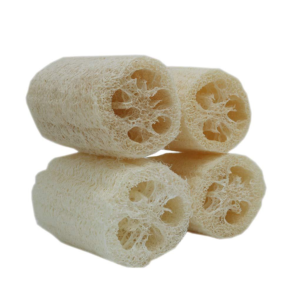 Natural Luffa Brush Pot Brush Bowl Artifact Kitchen Household Cleaning Luffa Pulp Dishwashing Cloth Absorbent Old Luffa Rag
