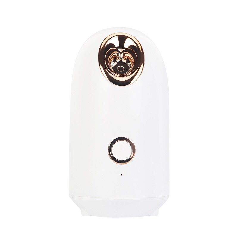 Hot Spray Face Steamer Beauty Instrument Ion Moisturizing Hydrating Spray Instrument Facial Beauty Skin Rejuvenation Hot Spray Face Steamer