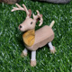 Elk