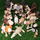 18 small animals send storage box