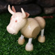 Bull