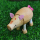 Piggy