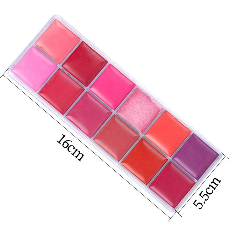 12 Color Lipstick Plate Multicolor Lipstick Lip Gloss Boxed Matte Student Studio Moisturizing Cosmetic Artist Portable