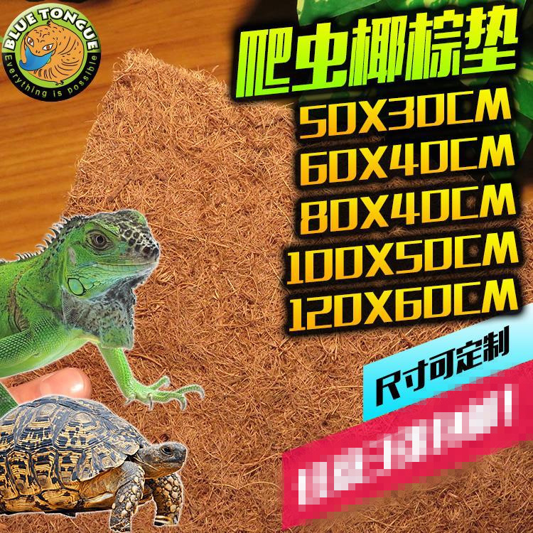 Кэпл Черепаха коробка бокса высокая коробка зеленая коробка Charle