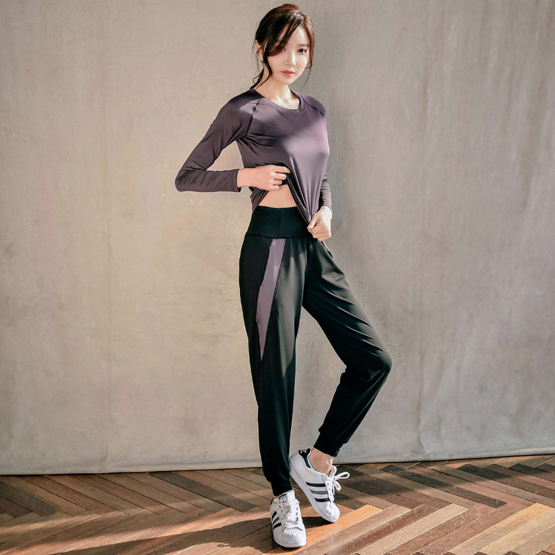 Fitness Sports Suit Women's Loose Long-sleeved Two-piece Sports Running Quick-drying Clothes Breathable Professional Autumn and Winter Yoga Suit