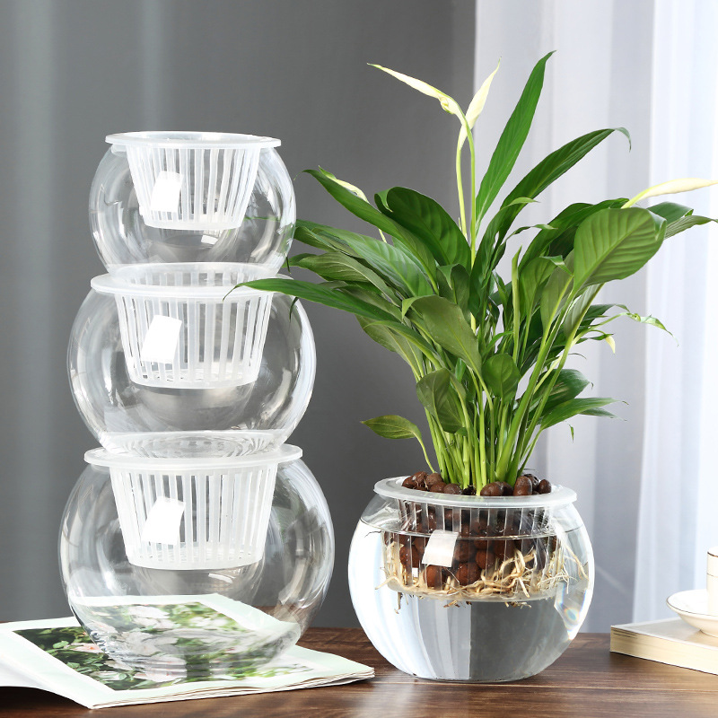 Promotional hydroponic plant glass bottle green rose large thick glass flower pot round ball fish tank ware vase wholesale