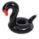 Black Swan