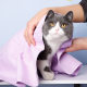 Large Bucket Imitation Deerskin Absorbent Towel Cross-border Wholesale Cat and Dog Universal Bath Towel Thickened Wet Wipes Pet Supplies
