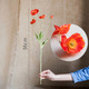 Iceland Poppy-Red