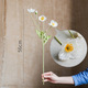 Ice Island Poppy-White