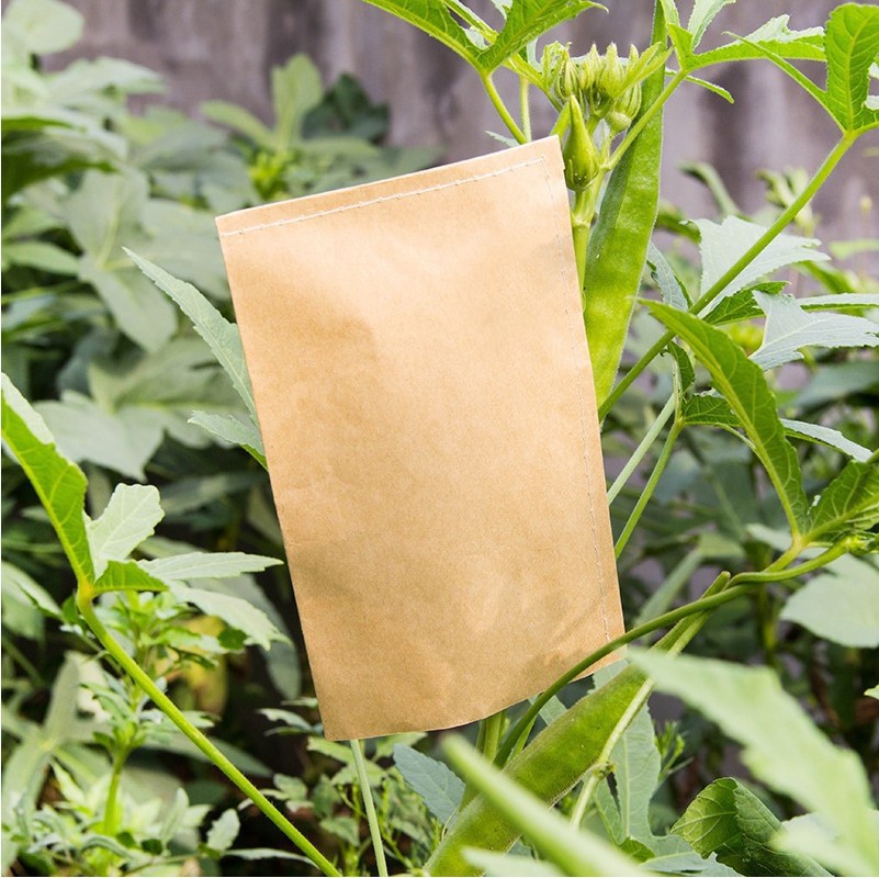 Kraft paper seed bag breeding bag soaking bag rice corn wheat rape storage bag Kraft paper bag