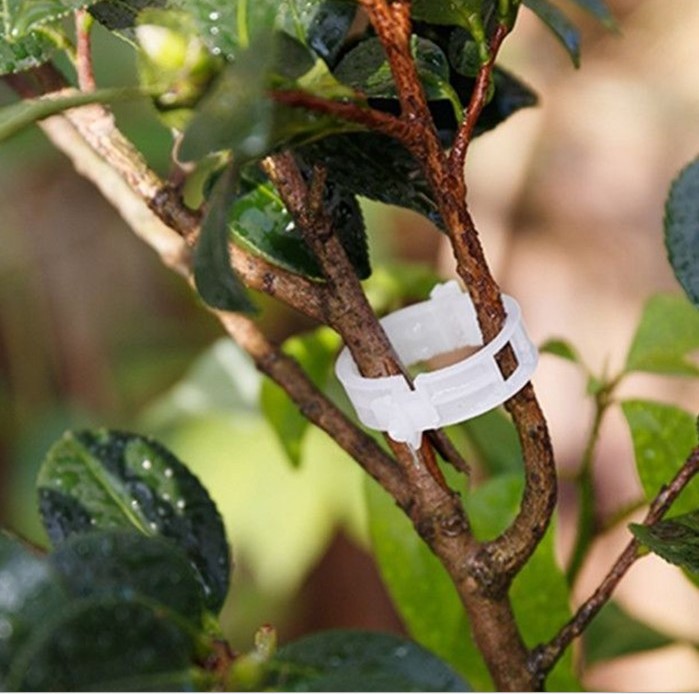 Plant clip/hanging seedling clip/plastic binding Vine clip/binding branch clip/hanging vine clip/holding Vine clip/Vine fixing clip