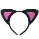 Black and Rose Red Cat