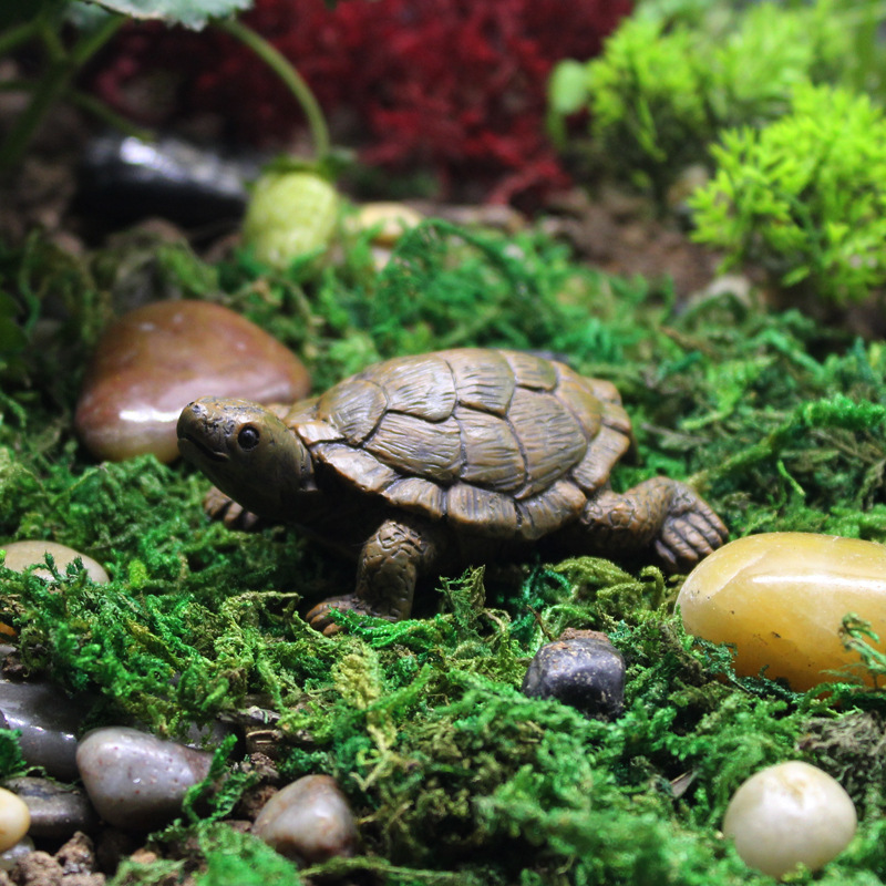 ミニチュア風景リアルなカメの飾りオリジナルデザインガーデニング造園バルコニー植木鉢の装飾多肉植物|undefined