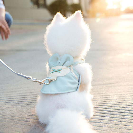 Original cross-border vest dog leash pet chest strap small dog medium dog cat breathable dog walking leash