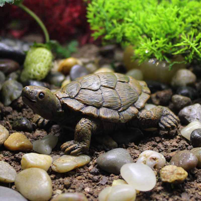 ミニチュア風景リアルなカメの飾りオリジナルデザインガーデニング造園バルコニー植木鉢の装飾多肉植物|undefined