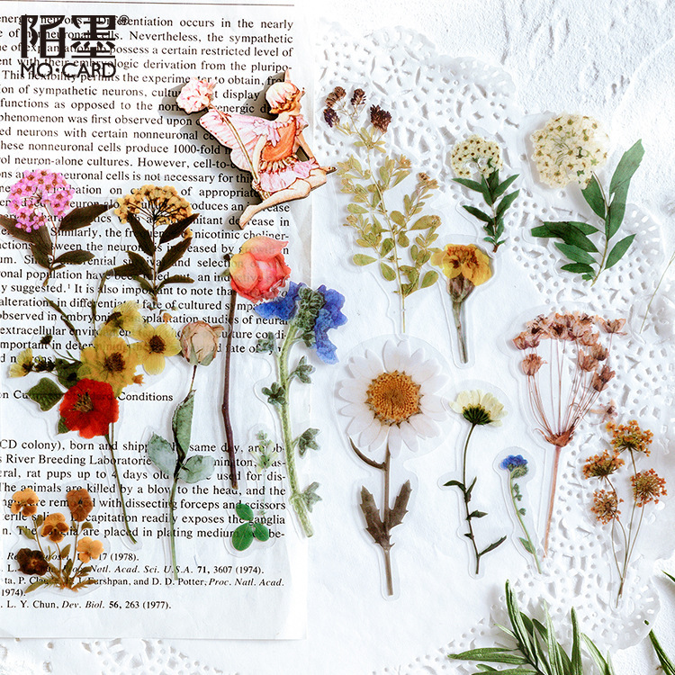 Mo Mo Jenny's Time Series PET Sticker Pack Bow Plant Handbook Material DIY Decoration 40