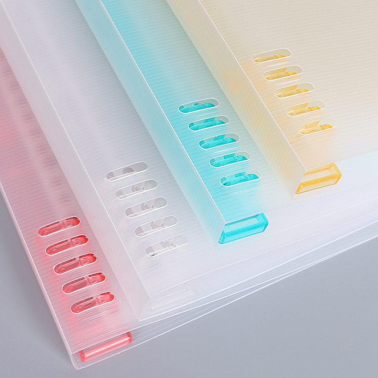 Four Color Light Color Stationery PP Plastic Loose-leaf Notebook Set Customized B5 Loose-leaf Coil Hand Account Case Customized