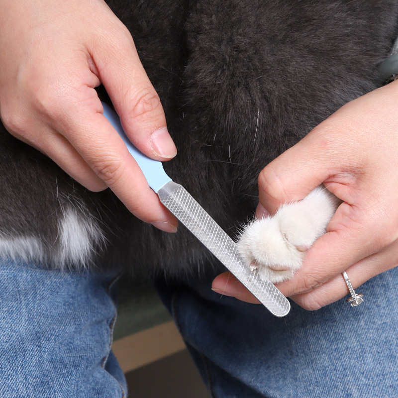 Pet nail clippers dog alloy knife head leather Amoy rabbit ear handle with file cat nail clippers supplies wholesale