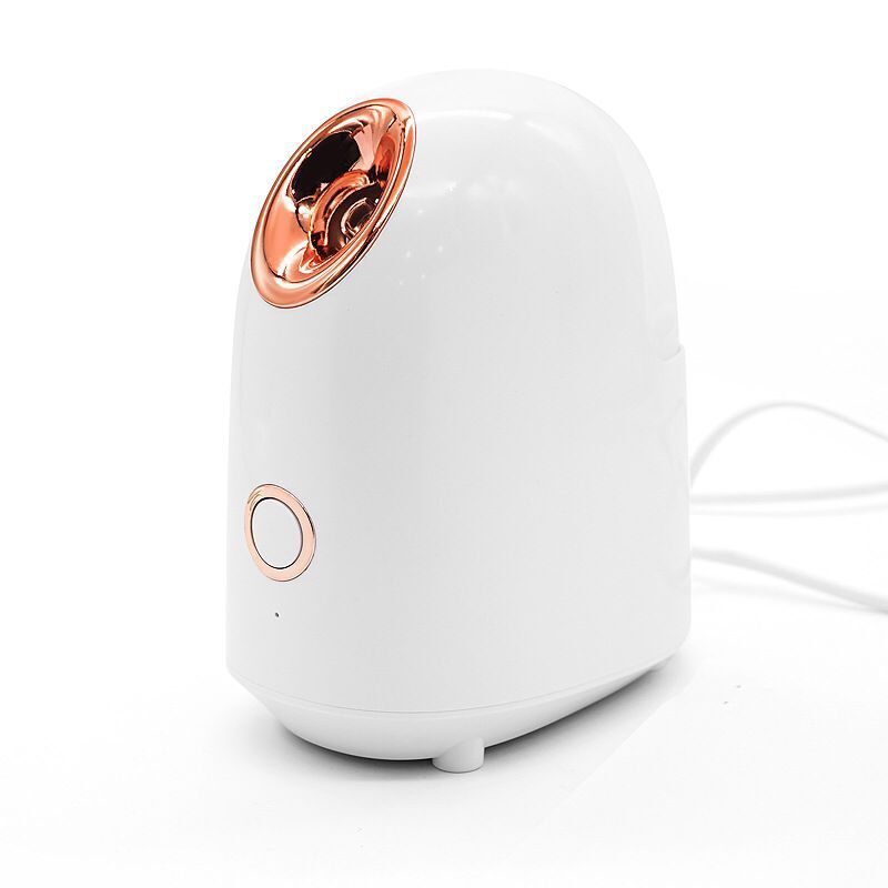 Hot Spray Face Steamer Beauty Instrument Ion Moisturizing Hydrating Spray Instrument Facial Beauty Skin Rejuvenation Hot Spray Face Steamer