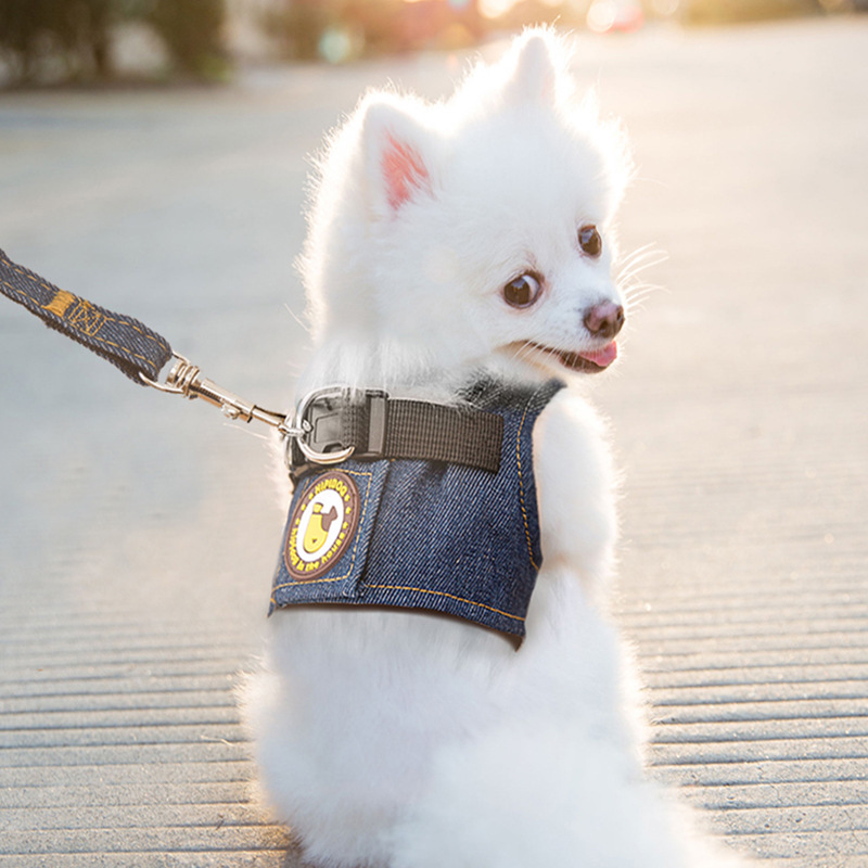 秋/冬のベストスタイル犬ジーンズリーシュペット引っ張りストラップ犬ウォーキングロープチェーンテディチェストバック用品|undefined