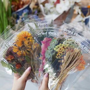 Mo Jing PET stickers weekend florist series plant account diary DIY material stickers 6 into 8