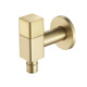 B (washing machine faucet Brushed gold)