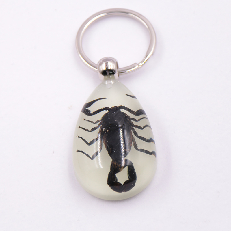 True insect specimen large Amber luminous insect keychain pendant jewelry scenic spot hot selling factory wholesale