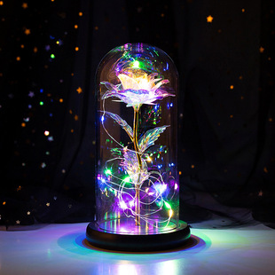 Eternal Flower Glass Lampshade Rose Artificial Flower Creative Gift Ornaments Tanabata Valentine's Day Christmas Gift Wholesale