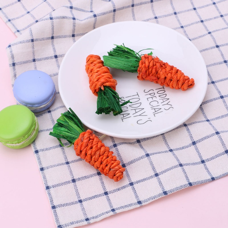 Hamster rabbit Chinchilla molars toy molars carrot parrot bite molars grass radish